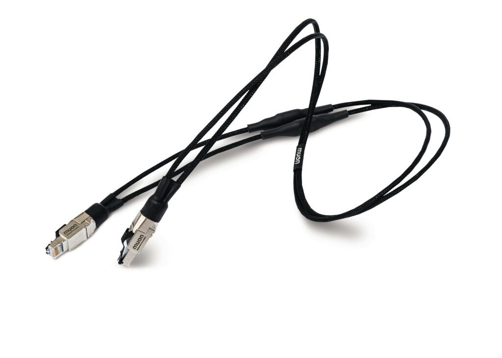 Network Acoustics Ethernet cable