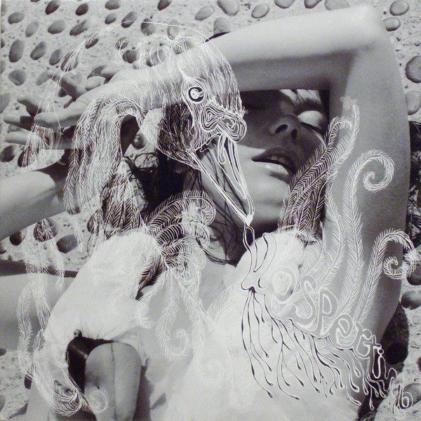 Bjork Vespertine