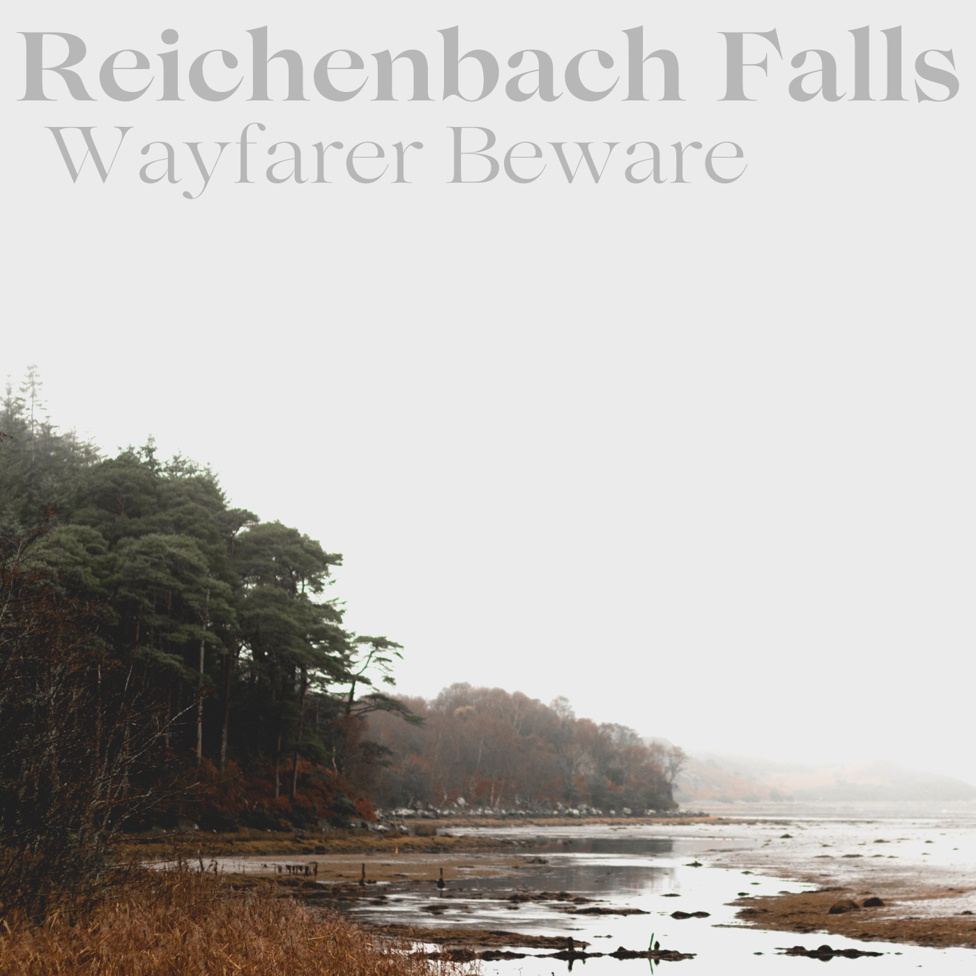 Wayfarer Beware: Reichenbach Falls