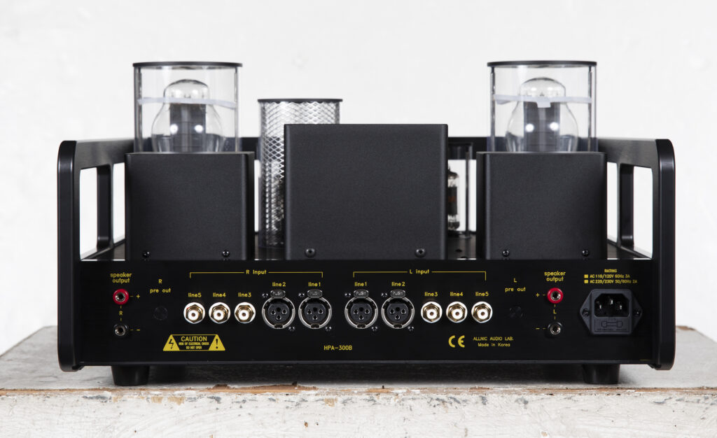 Allnic Audio HPA-300B rear panel