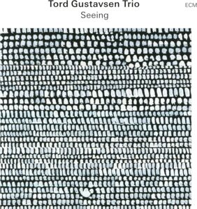 Tord Gustavsen Trio: Seeing