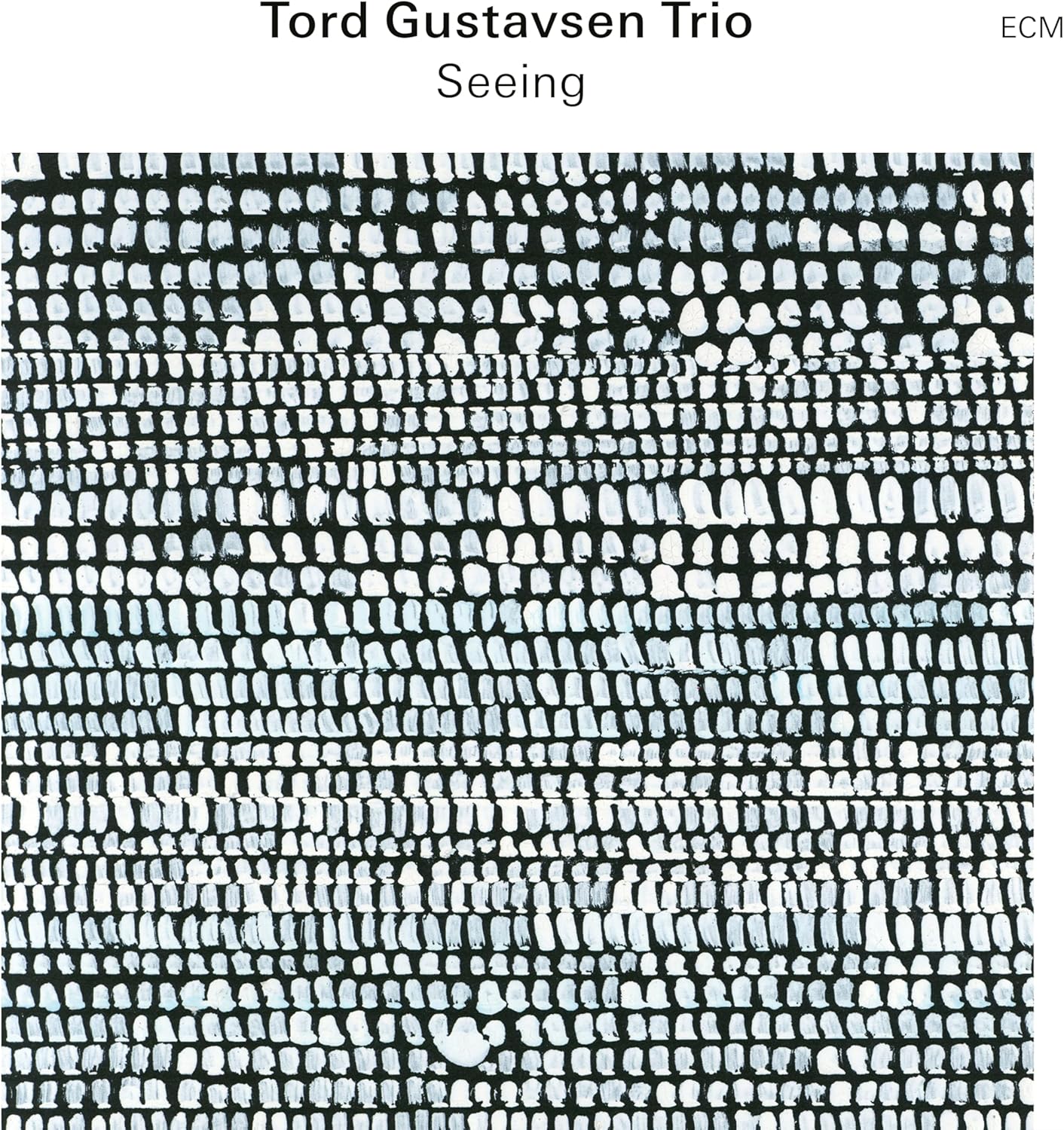 Tord Gustavsen Trio: Seeing